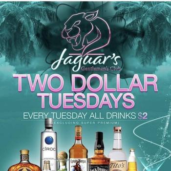 3179140462, female escort, Terre Haute